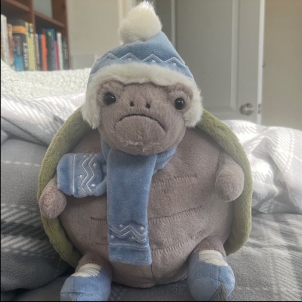 Timmy Turtle Skating